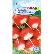Nasiona i cebule - Rzodkiewka Krakowianka Polan - miniaturka - grafika 1