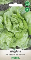 Nasiona i cebule - Sałata masłowa zimująca Humil 1g nasiona - WegAna - miniaturka - grafika 1