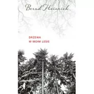 Felietony i reportaże - Drzewa w moim lesie - miniaturka - grafika 1