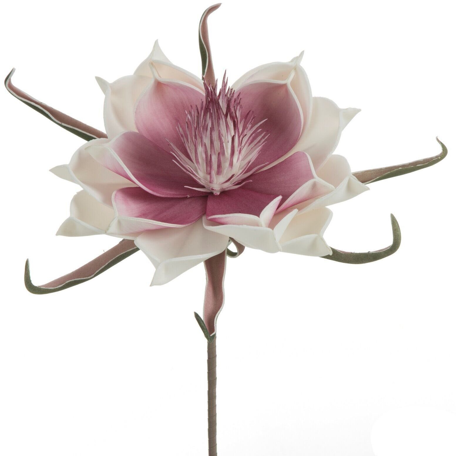 Eurofirany Kwiat sztuczny magnolia 65 cm biała fioletowy środek x6