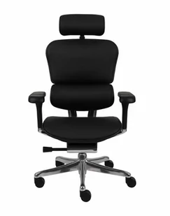 Fotel biurowy, krzesło biurowe Fotel Ergohuman 2 Elite LE Black - Fotele i krzesła biurowe - miniaturka - grafika 1