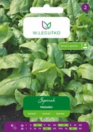 Nasiona i cebule - Nasiona Szpinak Matador 20g - W.Legutko - miniaturka - grafika 1