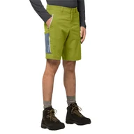 Spodenki męskie - Spodenki turystyczne OVERLAND SHORTS M golden cypress - 48 - miniaturka - grafika 1