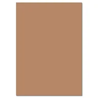 Scrapbooking - Folia Papier kartonowy 130 g A4 - zielony jasny 6451 - miniaturka - grafika 1