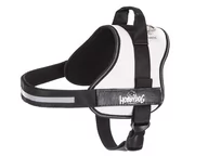 Szelki dla psów - Szelki Dla Psa, Jullieta, Beżowa, Xxl, 83 X 110Cm - miniaturka - grafika 1