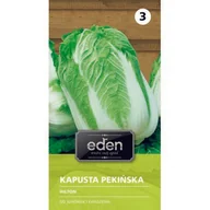 Nasiona i cebule - Kapusta pekińska Hilton 0,1 g Eden - miniaturka - grafika 1