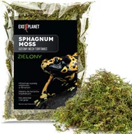 Dekoracje do terrarium - EXO PLANET Mech torfowiec Sphagnum Moss Zielony 25g - miniaturka - grafika 1