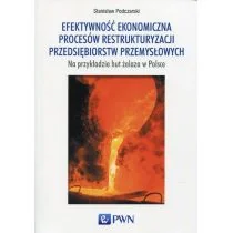 Wydawnictwo Naukowe PWN Efektywność ekonomiczna procesów restrukturyzacji przedsiębiorstw przemysłowych - Podczarski Stanisław - Ekonomia - miniaturka - grafika 2