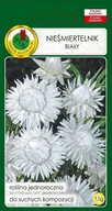 Nasiona i cebule - Nieśmiertelnik biały 1.5 g PNOS - miniaturka - grafika 1