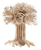 Dekoracje do akwarium - PROGROW Bonsai Tree BT7M 20x15x25cm drzewko - miniaturka - grafika 1