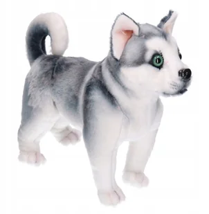 Maskotka pies Z10166 80640 - Maskotki i pluszaki - miniaturka - grafika 1