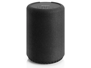 Audio Pro A10 MKII W (czarny) - Głośniki i kolumny - miniaturka - grafika 1