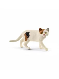 Schleich Amerykański kot krótkowłosy 13894 13894 - Figurki dla dzieci - miniaturka - grafika 2