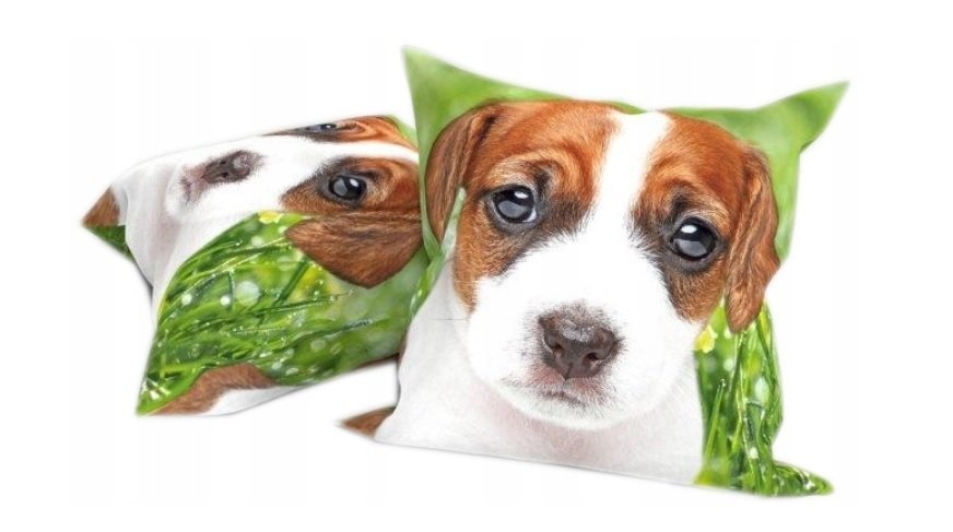 POSZEWKA NA PODUSZKĘ DZIECIĘCA PIESEK 45x45 CM