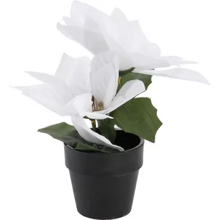 Gwiazda betlejemska sztuczna w doniczce, wys. 18 cm - Ozdoby bożonarodzeniowe - miniaturka - grafika 1