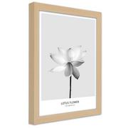 Plakaty - Plakat w ramie naturalnej, Biały kwiat lotosu (Rozmiar 60x90) - miniaturka - grafika 1