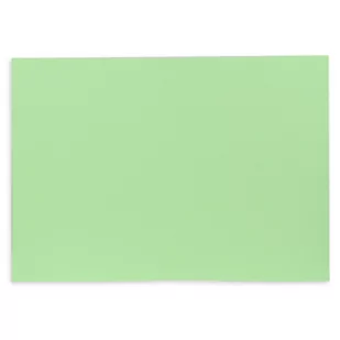 Canson Karton Kolorowy Iris Pistacjowy - Scrapbooking - miniaturka - grafika 1