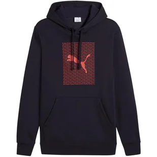 Bluza męska Puma Ess Logo Lab Hoodie FL - Bluzy sportowe męskie - miniaturka - grafika 1