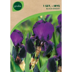 Irys Black Knight 1szt. cebulki kwiatów Geolia - Nasiona i cebule - miniaturka - grafika 1
