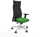 Fotele i krzesła biurowe - Krzesło Biurowe Piqueras y Crespo B2D026G Kolor Zielony - miniaturka - grafika 1