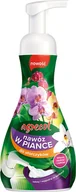 Nawozy ogrodnicze - Agrecol Pianka Nawożąca Do Storczyków 250 ml 102884 - miniaturka - grafika 1