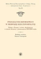 Książki religijne obcojęzyczne - Ewangelicyzm reformowany w Pierwszej Rzeczypospolitej - Wydawnictwo Uniwersytetu Warszawskiego - miniaturka - grafika 1