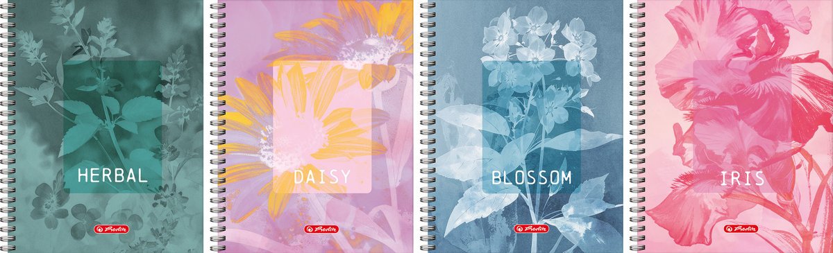 Kołozeszyt Herlitz Standard Blossom A4 80 kartek w kratkę