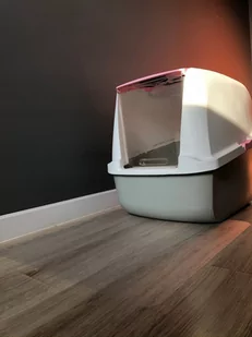 Przezroczysta mata pod kuwetę PetGLASS™ 60x80cm - Pozostałe akcesoria dla kotów - miniaturka - grafika 1