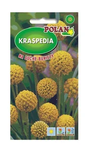 Kraspedia żółta 0,1 g POLAN - Nasiona i cebule - miniaturka - grafika 1