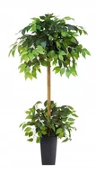 Sztuczne kwiaty - Fikus Sztuczny Drzewko Benjamin PREMIUM 150 cm - miniaturka - grafika 1