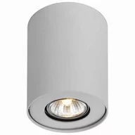 Lampy sufitowe - Italux Shannon lampa sufitowa 1-punktowa biała FH31431B-WH - miniaturka - grafika 1