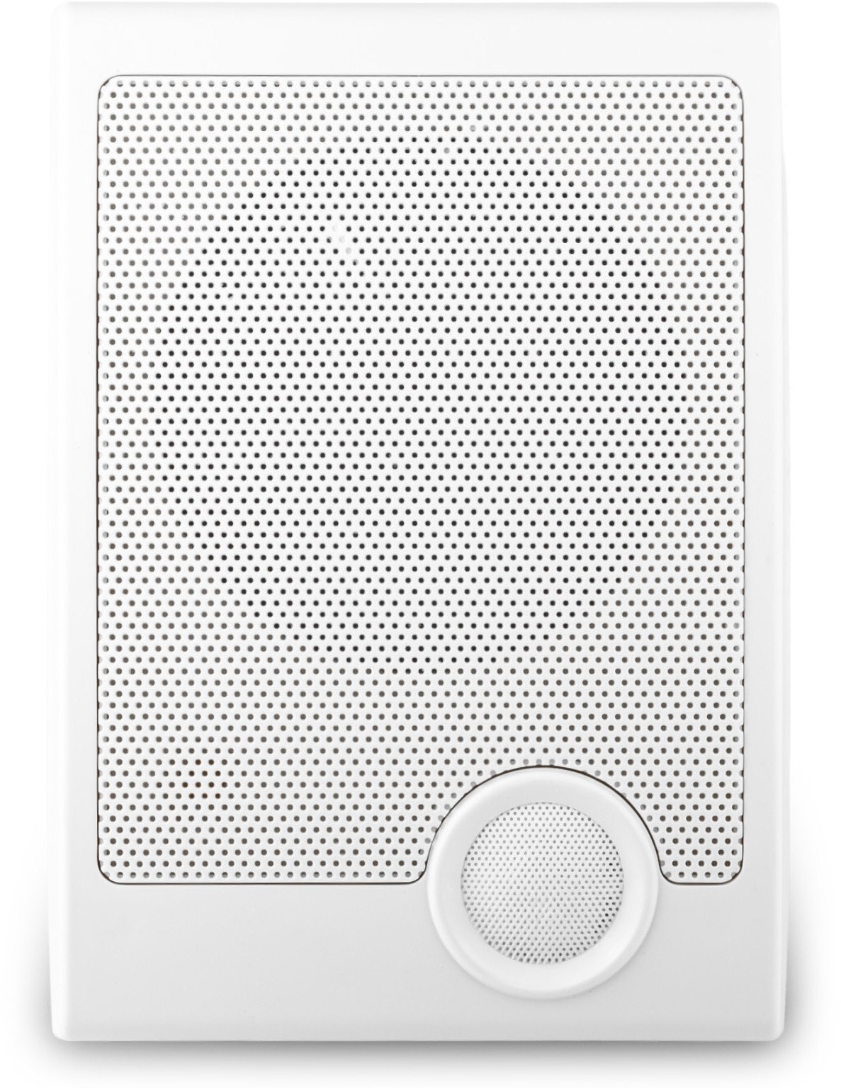 Audioport one size 15W/100V WS21