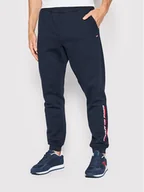 Spodnie sportowe męskie - Tommy Hilfiger Spodnie dresowe MW0MW22710 Granatowy Regular Fit - miniaturka - grafika 1