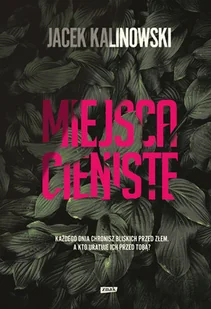 Miejsca cieniste - Thrillery - miniaturka - grafika 1