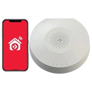 Bramka FERGUSON Smart Hub FS2SH Wi-Fi/Bluetooth/ZigBee - Systemy inteligentnych domów - miniaturka - grafika 1