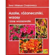 Dom i ogród - Azalie różaneczniki wrzosy i inne wrzosowate Używana - miniaturka - grafika 1