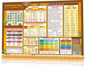 Pozostałe książki - Mata edukacyjna j.angielski klasy 1-4 w.ukraińska - miniaturka - grafika 1