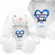 Maskotki i pluszaki - PRZYTULANKA Królik Prezent dla CHŁOPAKA Twoje IMIĘ - miniaturka - grafika 1