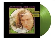 Winyle - Astral Weeks (oliwkowy winyl) - miniaturka - grafika 1