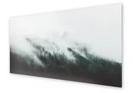 Obrazy i zdjęcia na płótnie - Panel kuchenny HOMEPRINT Mglisty krajobraz 100x50 cm - miniaturka - grafika 1
