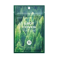 Problemy skórne - Skin1004 Madagaskar Centella Spot Cover, ultracienkie plastry hydrokoloidowe na niedoskonałości, 22 sztuki - miniaturka - grafika 1