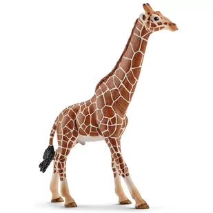 Schleich Wild Life - Żyrafa samiec, figurka dla dzieci 3+ - Figurki dla dzieci - miniaturka - grafika 1