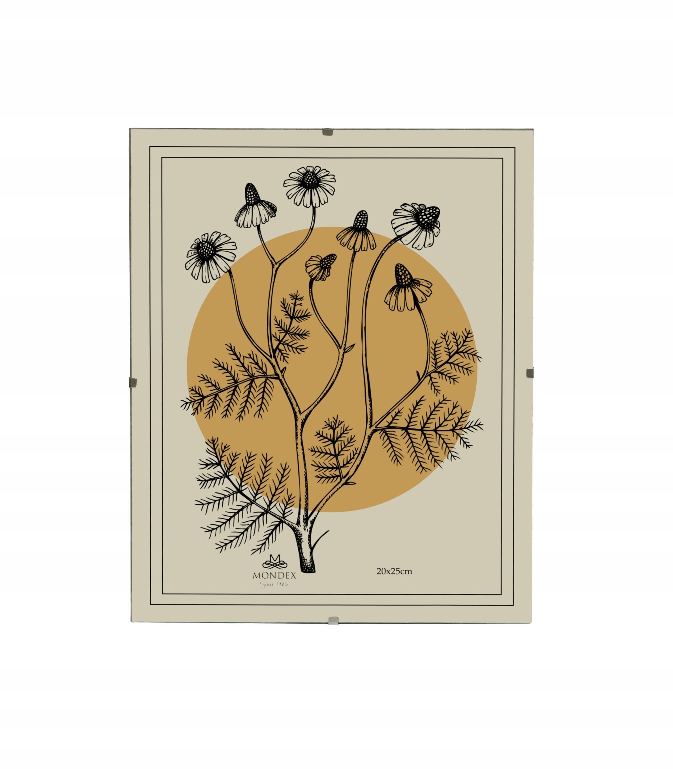 ADI Ramka 20x25cm Antyrama szkło