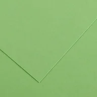 Papier do drukarek - Karton Iris 240G 70*100 Pista. Ca40466 25Ark.200040466 - miniaturka - grafika 1