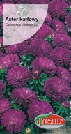 Nasiona i cebule - Nasiona Aster karłowy ciemnoniebieski 0,5g - Torseed - miniaturka - grafika 1