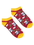 Skarpetki męskie - Koala miś skarpetki stopki Kabak - miniaturka - grafika 1