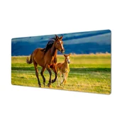 Podkładki na biurko - Dla dziecka podkładka na biurko Źrebak koń polana, ArtprintCave - miniaturka - grafika 1