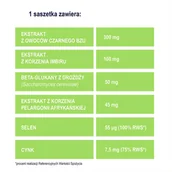 Przeziębienie i grypa - USP ZDROWIE SP. Z O.O USP ZDROWIE SP Z O.O Naturell Immuno HOT 4 x 10 saszetek - miniaturka - grafika 1