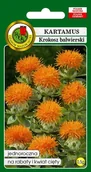 Nasiona i cebule - Kartamus Pomarańczowy 0.5 g PNOS - miniaturka - grafika 1