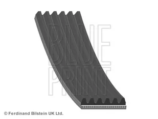Pasek klinowy wielorowkowy Blue Print AD06R1318 - Paski klinowe i wielorowkowe - miniaturka - grafika 1